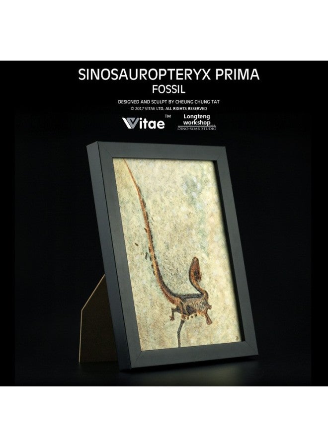 Vitae Is Its Jurassic Dinosaur Tyrannosaurus Rex Bone Fossil Board Set Table Photo Frame Home Decorations-Color:Chinese Dragon Bird  - Image 1