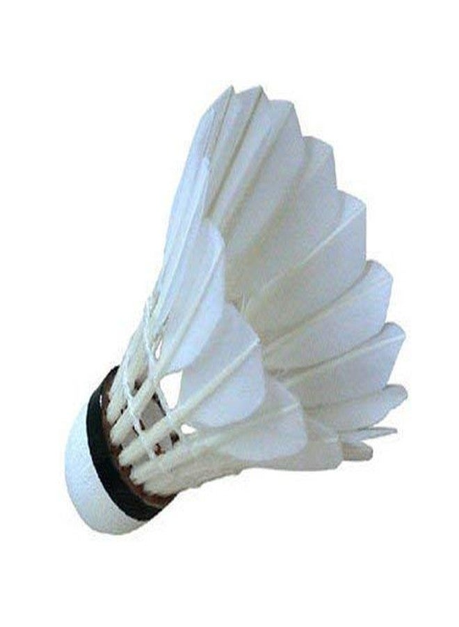 plutofit Badminton Shuttlecocks, White Feather, Pack of 10 - Image 4