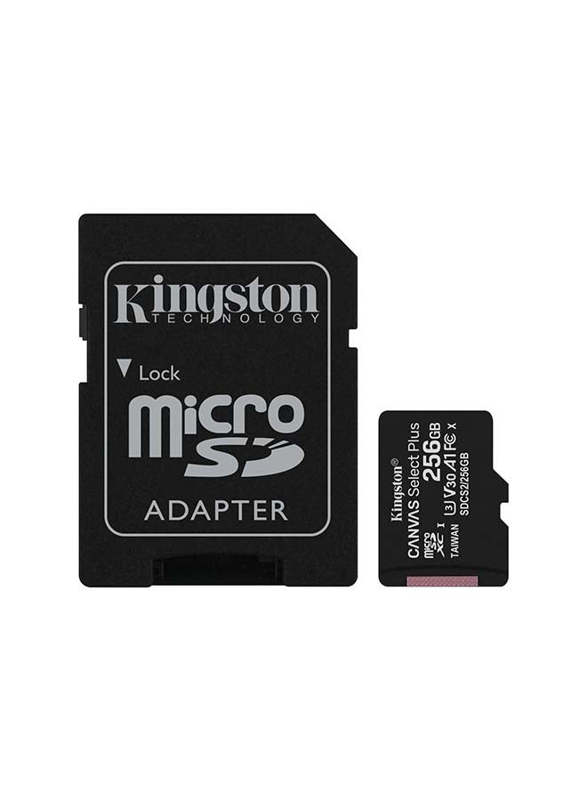 Kingston 256GB micSDXC Canvas Select Plus 100R A1 C10 Card + ADP - Image 1