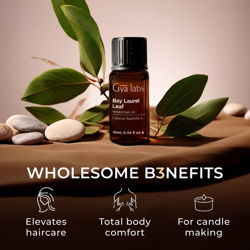 Gya Labs Bay Leaf Essential Oil for Diffuser - 0.34 Fl Oz - 100% Natura Bay Laurel Oil for Hair, Candle Making - Spicy, Herbaceous Scent - Image 5