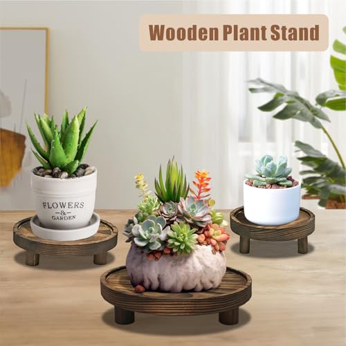 QZV 6 PCS 5/6/8 Inch Wooden Risers for Display Wood Pedestal Stand Round Mini Tray Stand Rustic Riser Tray Tiered Tray Decor for Party, Wedding, Birthday, Baby Shower,Home Décor - Image 5