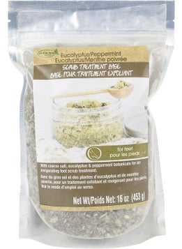 Life of the Party Scrub Base 16oz PrmintEucalyp
