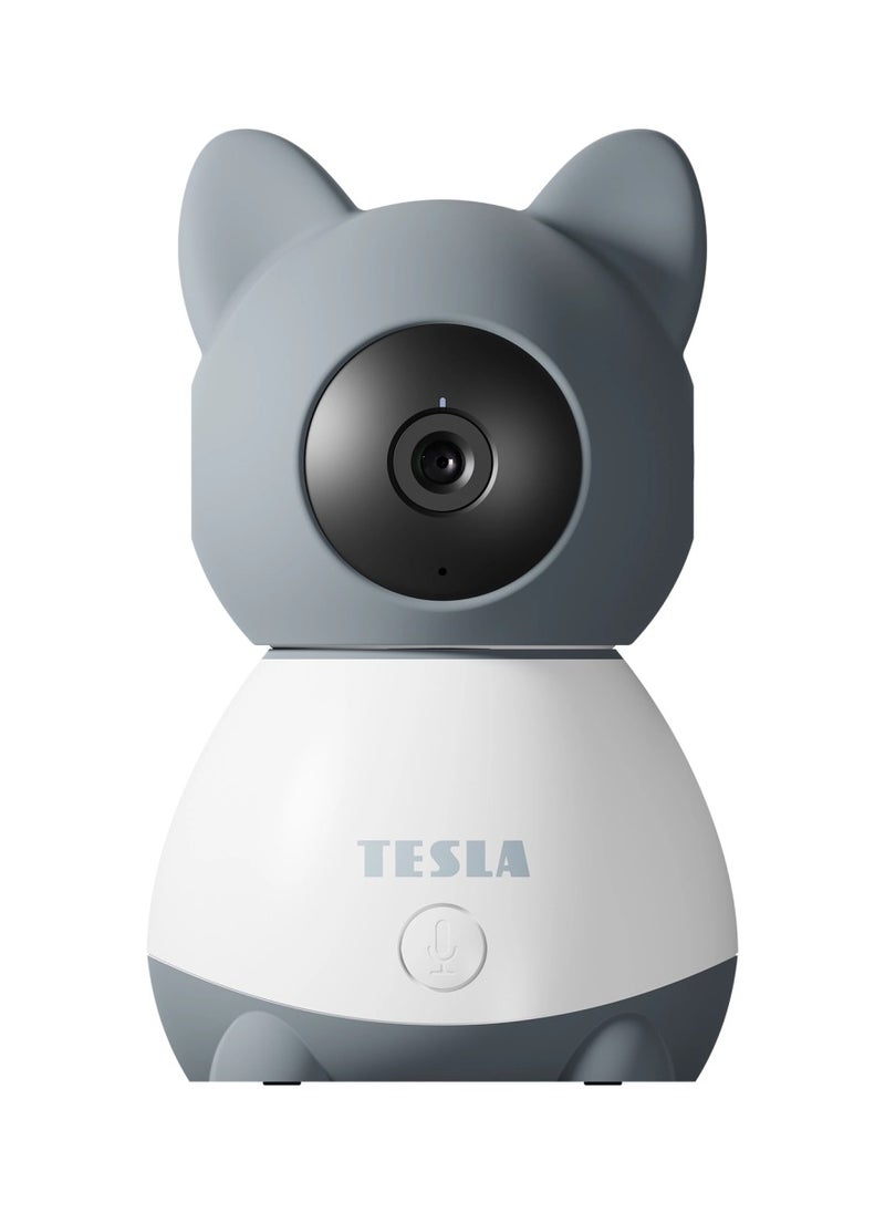 Tesla Smart Camera B250 works with Google Alexa  Tesla Home App  - Image 1