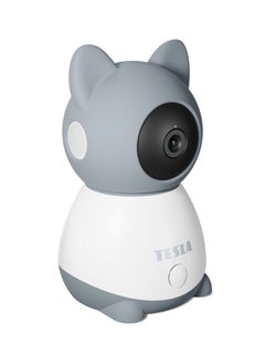 Tesla Smart Camera B250 works with Google Alexa  Tesla Home App  - Image 2