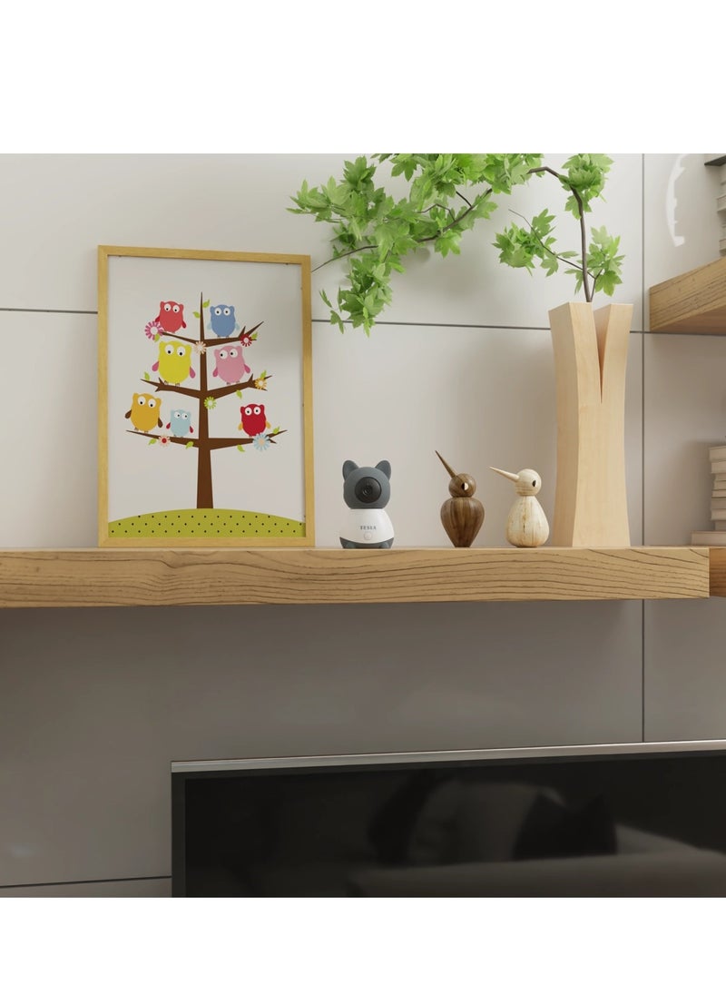 Smart Camera B250 works with Google Alexa  Tesla Home App