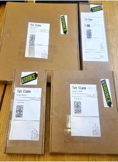 GGOOT Bean Plug Plants "Grow Your Own" Fruit from Our Premium Quality 'Ready to Plant Now' Young Vegetable Plants Pick from Broad, Runner, French Climbing Beans & Mixed Pack Available (1  - Image 3