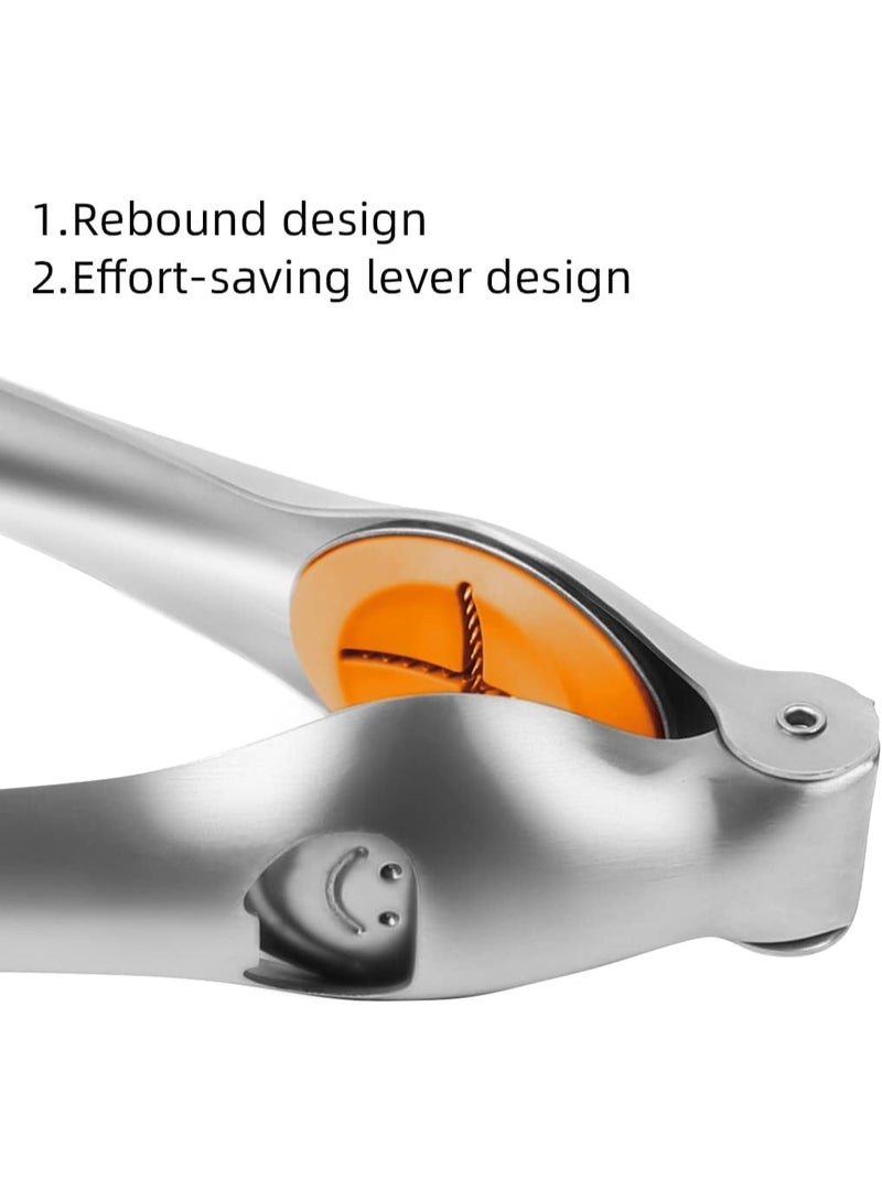 سيوسي Heavy Duty Chestnut Opener Nutcracker Tool, Stainless Steel Walnut & Nut Sheller with Ergonomic Handle, Easy to Use Peeler for Pecans, Hazelnuts, Almonds, Multipurpose with Bottle Opener - Image 5