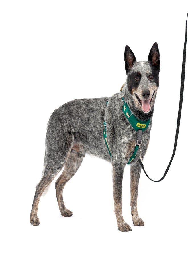 بيت سيف سرج PetSafe Easy Walk Comfort للكلاب، مبطن بالكامل لمنع الشد - مشي أفضل من أول استخدام - 5 نقاط تعديل - متوسط، أخضر - Image 1
