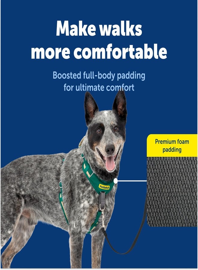بيت سيف سرج PetSafe Easy Walk Comfort للكلاب، مبطن بالكامل لمنع الشد - مشي أفضل من أول استخدام - 5 نقاط تعديل - متوسط، أخضر - Image 3
