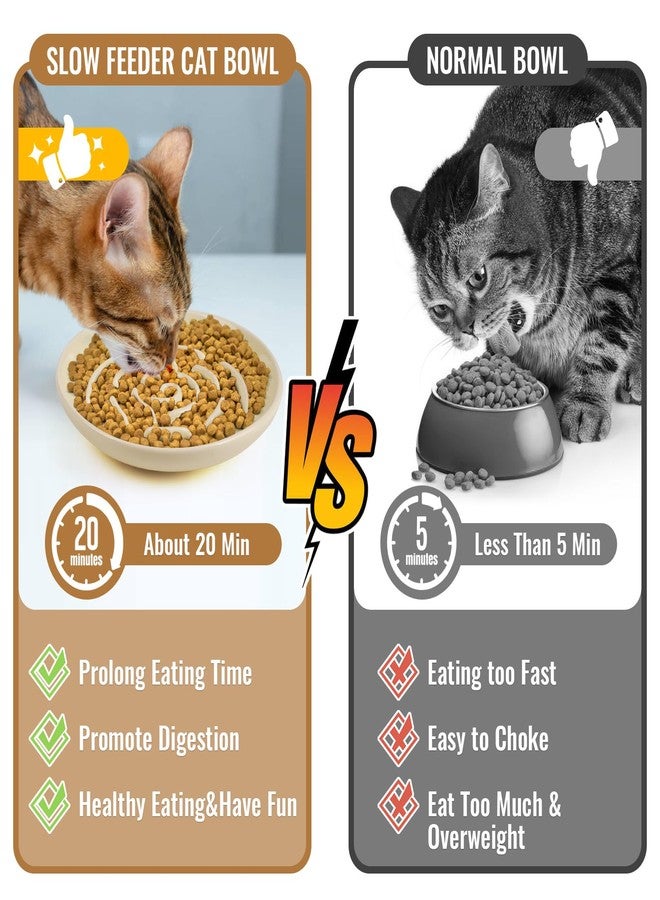 Lfpkixise Slow Feeder Cat Bowl Set of 2, Ceramic Slow Feeding Cats Bowl Whisker Friendly, Anti Vomiting Cat Feeder for Dry and Wet Food，Fun Maze Interactive Bloat Stop Puzzle Bowls for Healthy Eating Diet - Image 4
