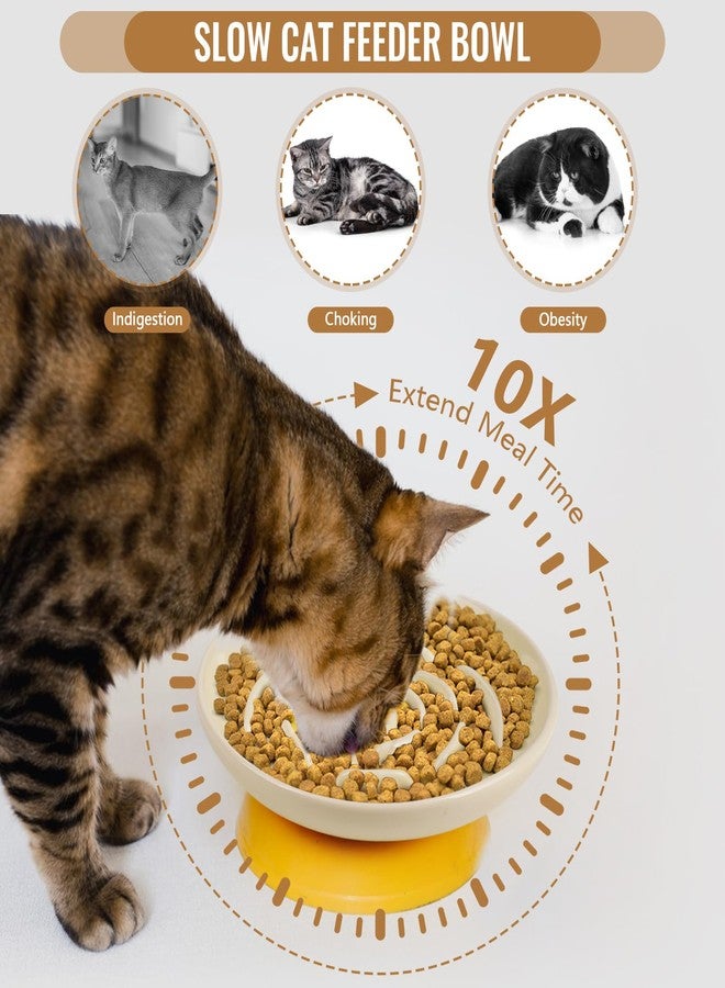 Lfpkixise Slow Feeder Cat Bowl Set of 2, Ceramic Slow Feeding Cats Bowl Whisker Friendly, Anti Vomiting Cat Feeder for Dry and Wet Food，Fun Maze Interactive Bloat Stop Puzzle Bowls for Healthy Eating Diet - Image 3