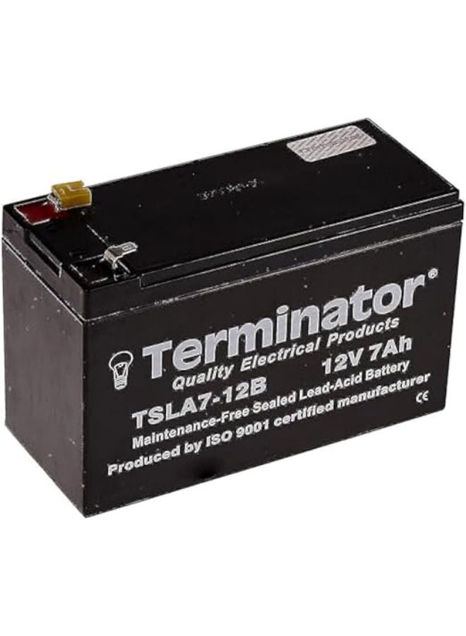 ترمينيتور بطارية رصاص محكمة الإغلاق Terminator 12 فولت 7 أمبير - Image 1