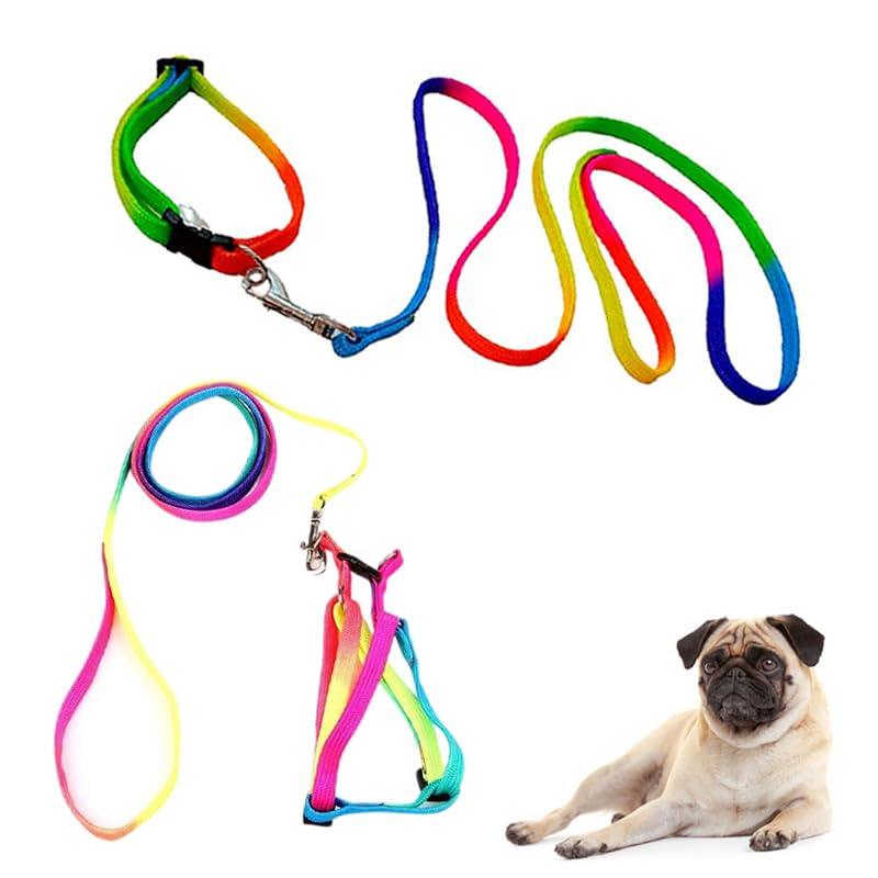 Sage Square Dog Colourfull Harness Leash Set Adjustable Heavy Duty No Pull Halter Harnesses for Small Breed Dogs Back Clip Anti-Twist Perfect for Walking (Multicoloured) - Image 1