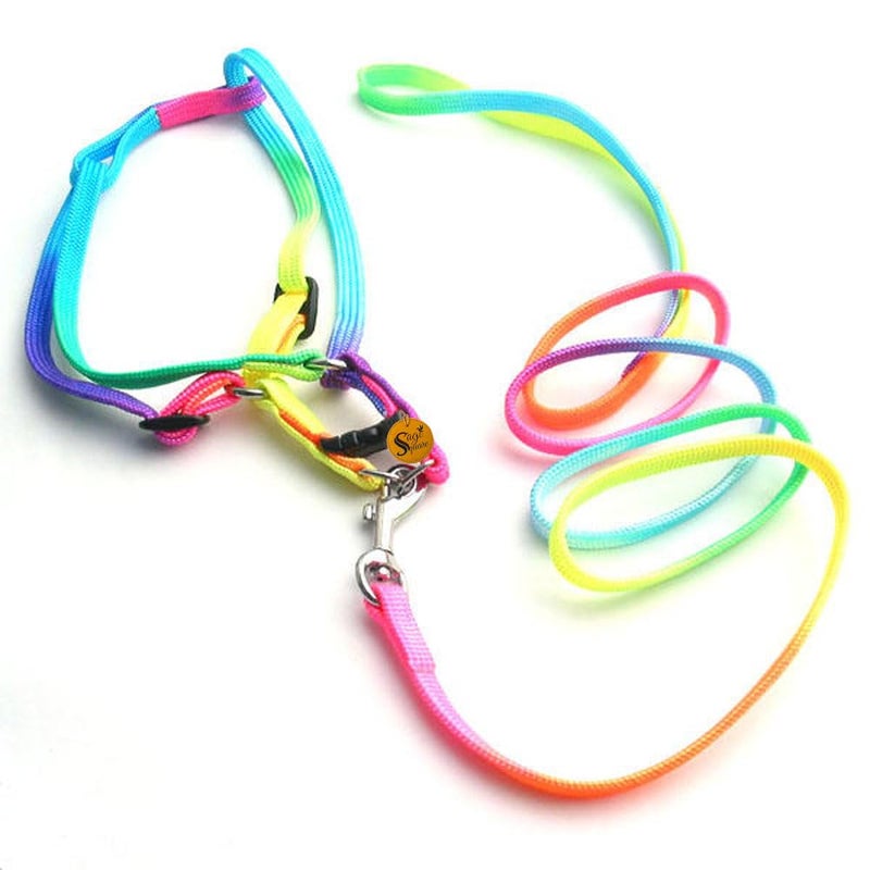 Sage Square Dog Colourfull Harness Leash Set Adjustable Heavy Duty No Pull Halter Harnesses for Small Breed Dogs Back Clip Anti-Twist Perfect for Walking (Multicoloured) - Image 2