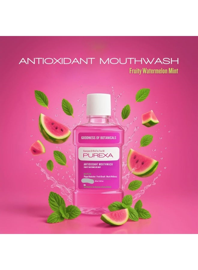 PUREXA معجون أسنان PUREXA بالفحم لتبييض الأسنان (100 جم) مع فرشاة من الخيزران وغسول للفم بنكهة البطيخ والنعناع (250 مل) | تبييض وحماية للمينا (3 في 1) | يحتوي على الفحم النشط وبيكربونات الصوديوم | نكهة النعناع المنعش | للبالغين والمراهقين - Image 2