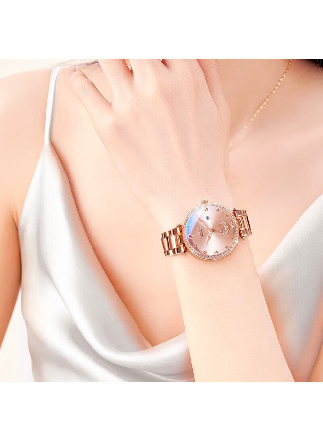 ROSDN Laoston 3.8 Festival Gift 18k Gold Watch Single-minded Women's Gold Mechanical Watch Top Ten Brand Luxury Ladies Watch - Image 2