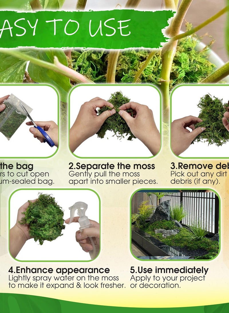 MirageBotanics Faux Moss for Plants Indoor, Artificial Moss for Arts and Crafts, Fake Grass for Potted Fairy Garden DIY Model Making Walls Glass Containers Home Decor - Image 2