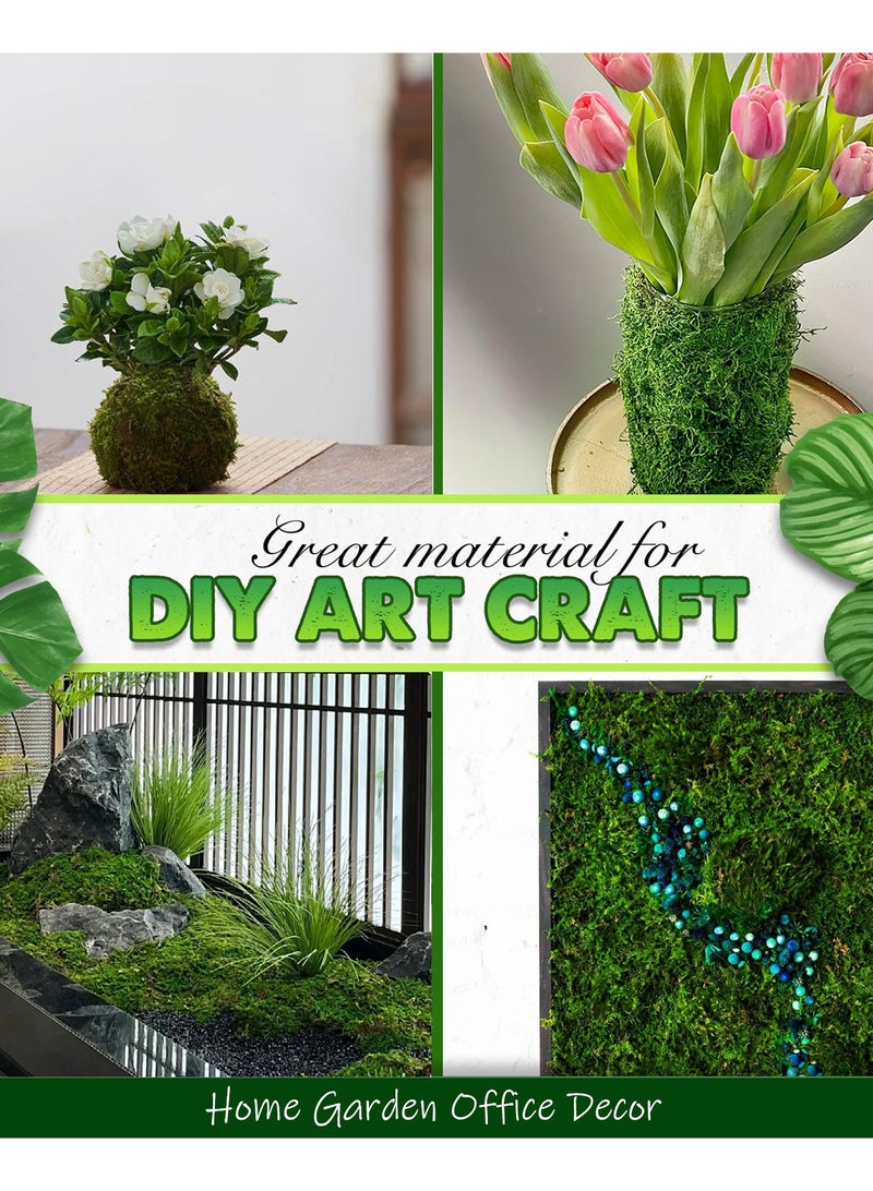 MirageBotanics Faux Moss for Plants Indoor, Artificial Moss for Arts and Crafts, Fake Grass for Potted Fairy Garden DIY Model Making Walls Glass Containers Home Decor - Image 3