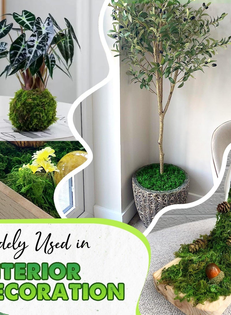 MirageBotanics Faux Moss for Plants Indoor, Artificial Moss for Arts and Crafts, Fake Grass for Potted Fairy Garden DIY Model Making Walls Glass Containers Home Decor - Image 4