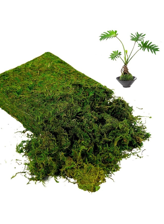 MirageBotanics Faux Moss for Plants Indoor, Artificial Moss for Arts and Crafts, Fake Grass for Potted Fairy Garden DIY Model Making Walls Glass Containers Home Decor - Image 5