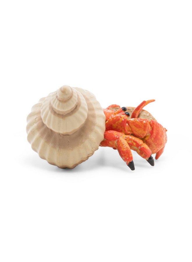 Papo بابو - تمثال سرطان البحر الناسك الواقعي - من 3 سنوات فما فوق - مطلي يدويًا - مجموعة عالم البحار - فكرة هدية للأولاد والبنات - 56054 - لعبة سرطان البحر - تمثال بحري - مخلوق بحري واقعي - Image 5