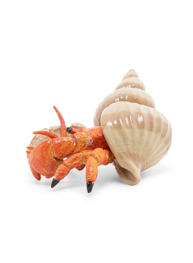 Papo بابو - تمثال سرطان البحر الناسك الواقعي - من 3 سنوات فما فوق - مطلي يدويًا - مجموعة عالم البحار - فكرة هدية للأولاد والبنات - 56054 - لعبة سرطان البحر - تمثال بحري - مخلوق بحري واقعي - Image 4