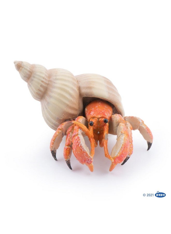 Papo بابو - تمثال سرطان البحر الناسك الواقعي - من 3 سنوات فما فوق - مطلي يدويًا - مجموعة عالم البحار - فكرة هدية للأولاد والبنات - 56054 - لعبة سرطان البحر - تمثال بحري - مخلوق بحري واقعي - Image 3