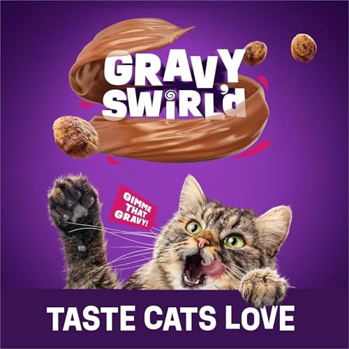 Friskies Purina Friskies Dry Cat Food Gravy Swirl'd With Flavors of Chicken, Salmon and Gravy - 22 lb. Bag - Image 3