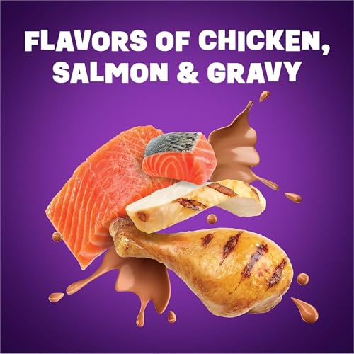 Friskies Purina Friskies Dry Cat Food Gravy Swirl'd With Flavors of Chicken, Salmon and Gravy - 22 lb. Bag - Image 2