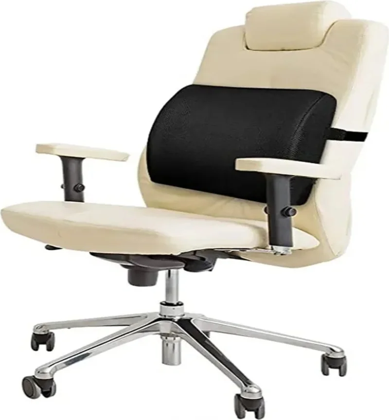 Ozclife Orthopedic Chair Seat Office Car Auto Vehicle Lumbar Support Pillow Back Support Cushion
