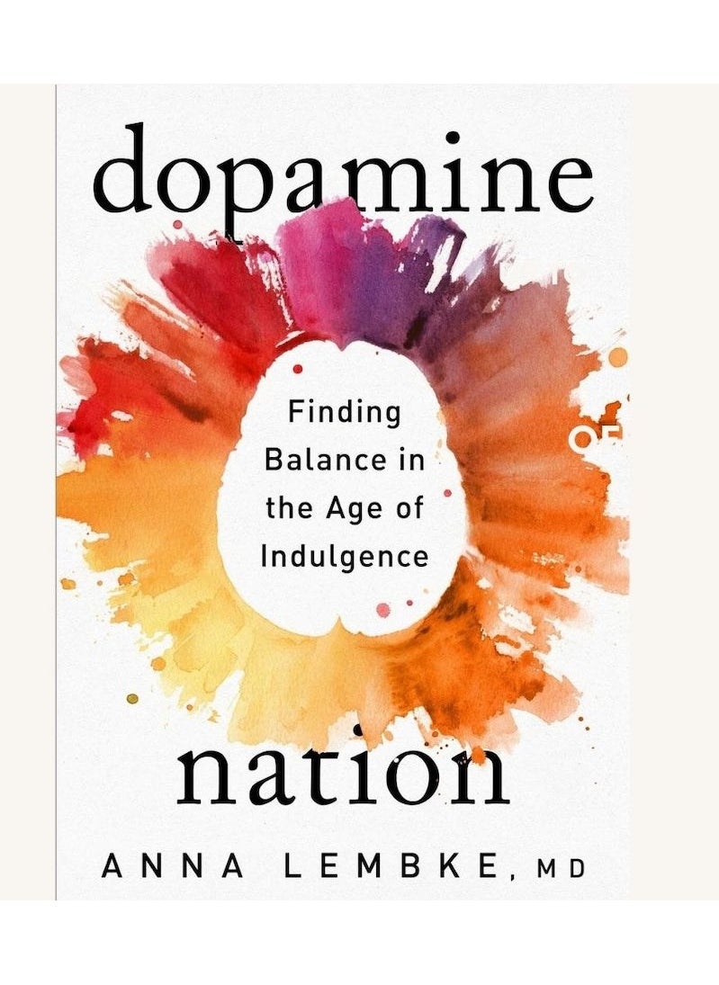 null - Dopamine Nation: Finding Balance in the Age of Indulgence - Image 1