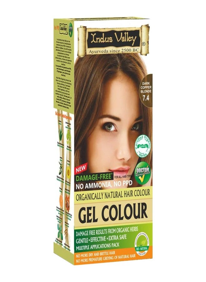 Indus Valley Gel Hair Color Chemical Free For Long & Shiny Hair (Dark Copper Blonde 7.4) - Image 1