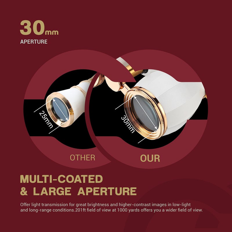 ESSLNB Opera Glasses Binoculars for Women Adults 4X30mm Theater Glasses Compact Binoculars for Theater and Concerts Antique with Case Removable Chain White - Image 3