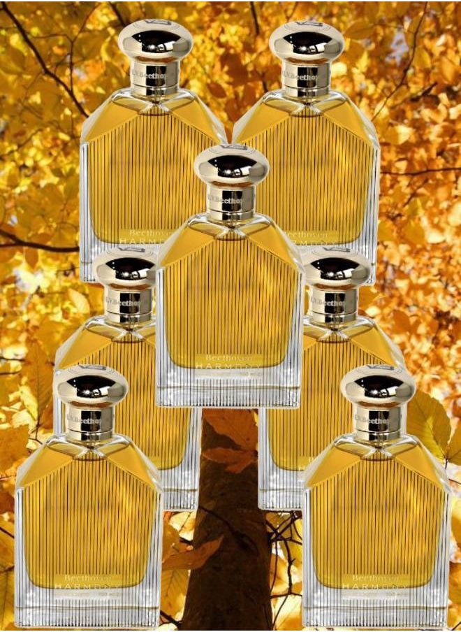 7 Pieces Beethoven Harmony Perfume 100ML - pzsku/Z5960AF2EEEBF63958553Z/45/_/1699638989/7c2295b3-4f82-4939-a202-b401922f7e09