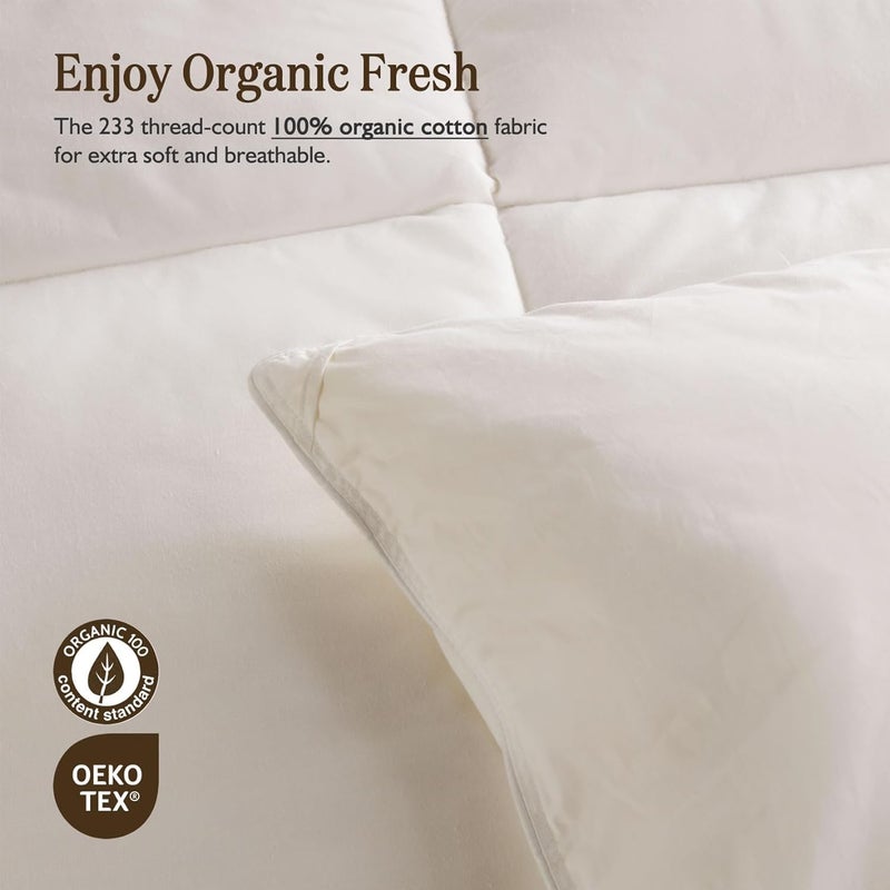 BPC Lightweight Organic Feather Down Comforter Queen Size, Hotel-Luxury Fluffy Duvet Insert with Cotton Cover and Puffy Feather Down Filling, for Summer/Hot Sleepers, Ivory White, 90x90 Inches - Image 5
