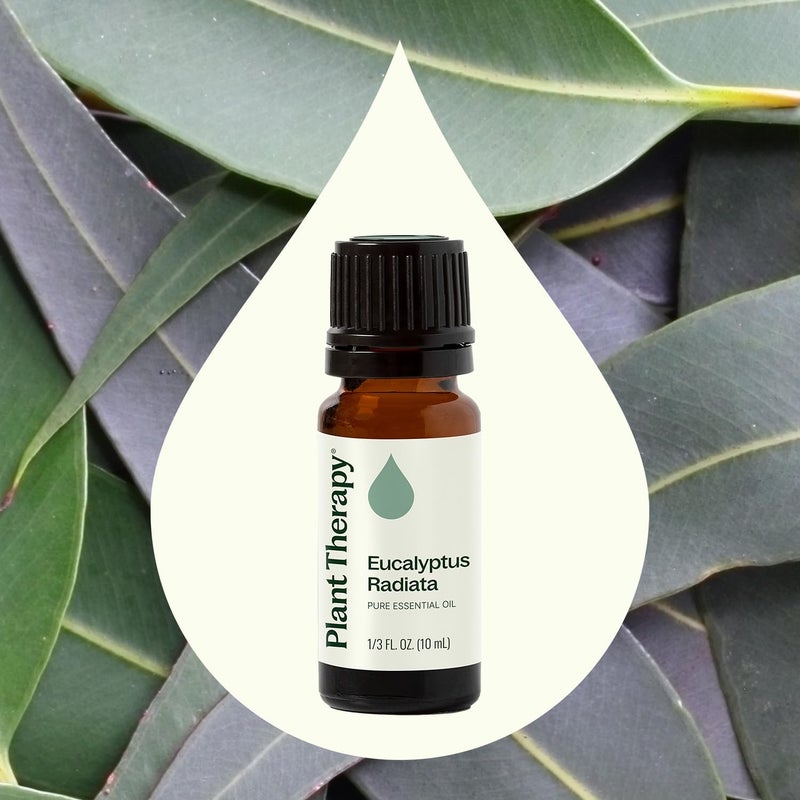 Plant Therapy Eucalyptus Radiata Essential Oil 10 mL (1/3 oz) 100% Pure, Undiluted, Therapeutic Grade - Image 3