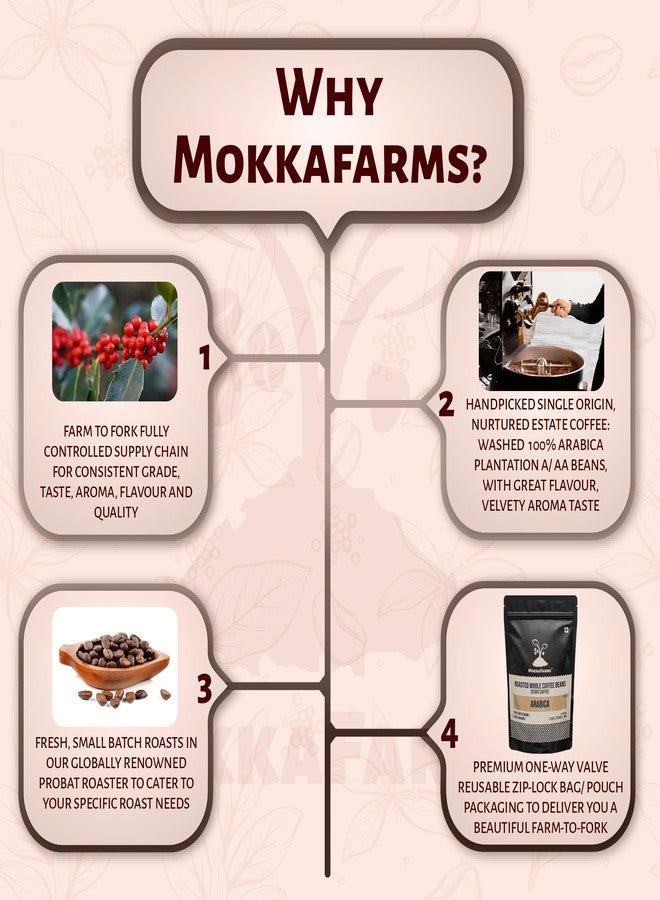 MOKKAFARMS قهوة موكا فارمز الممتازة 100% روبوستا - موكا بوت - تحميص داكن | طازجة ومن منشأ واحد | حبوب مزارع A/AA | غنية بالنكهة والرائحة | كيس بسحاب أحادي الاتجاه - Image 4