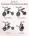 RIDYEE 3in1 Foldable Tricycle and Balance Bike for Toddlers 2 to 5 Years Tricycle for 2 Years with Adjustable Handlebar and Seat Tricycles for 35 Years with DIY Plate Black - Image 4