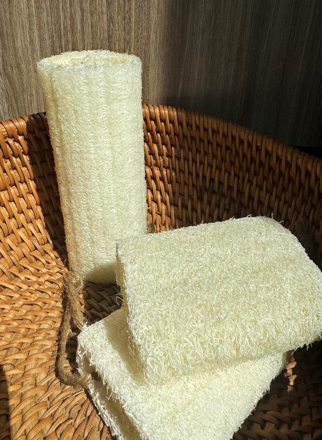 JINS-Hung 4" Natural Loofah Exfoliating Body Sponge Scrubber for Skin Care in Bath Spa Shower Pack of 12 - Image 2