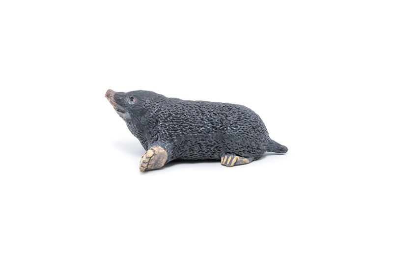 Papo - Mole Figurine - Garden Animal Toy for Kids Age 3+ - Hand Painted Underground Mammal Model - Realistic Small Wildlife Figure - Educational Nature Toy - 5.5 x 3.5 x 2 cm - 50265 - Image 5