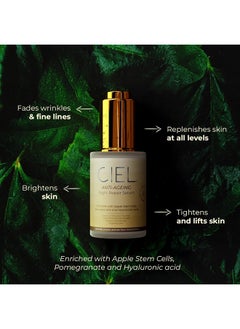 CIEL Anti-Ageing Night Repair Serum For Smoother, Younger Skin Collagen Boosting Hydrating Wrinkle Minimising Treatment 100% Vegan, For All Skin Types 30Ml  - Image 3