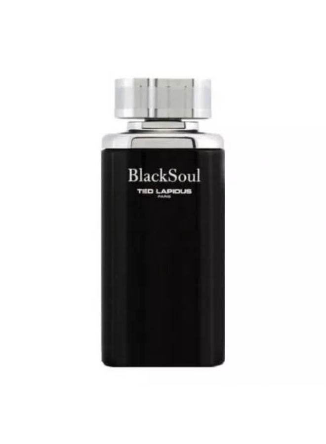 TED LAPIDUS Black Soul Eau de Toilette 100ml - Image 1