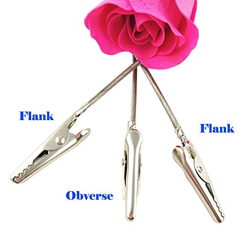 H&W 50 Pack Metal Wire Alligator Clamp, 4'' Long-Tailed Alligator Iron Clip, Stand Photo Holder Stand Memo Clip (WE1-D1) - Image 2