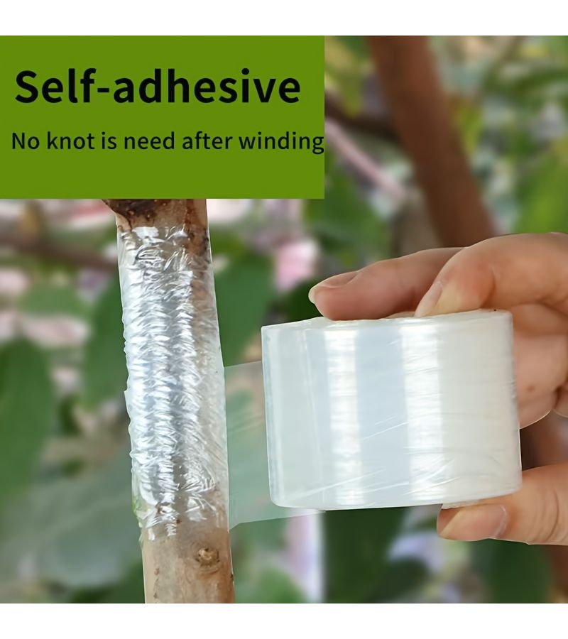 2roiis Heavy Duty Self Adhesive Plant Tape 1.18 Inch Wide 1968.5 Inch Long for Grafting Tree Wrapping - Image 5