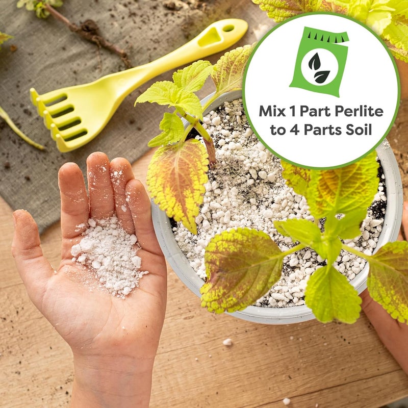 PERFECT PLANTS بيرلايت عضوي — أضف إلى التربة للنباتات في الأواني الداخلية والخارجية لإدارة الصرف وتعزيز النمو (8 كوات) - Image 5