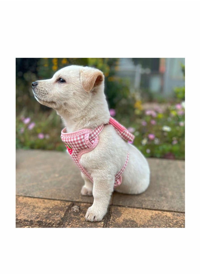 Beauenty Dog Harness Backpack  - Image 3
