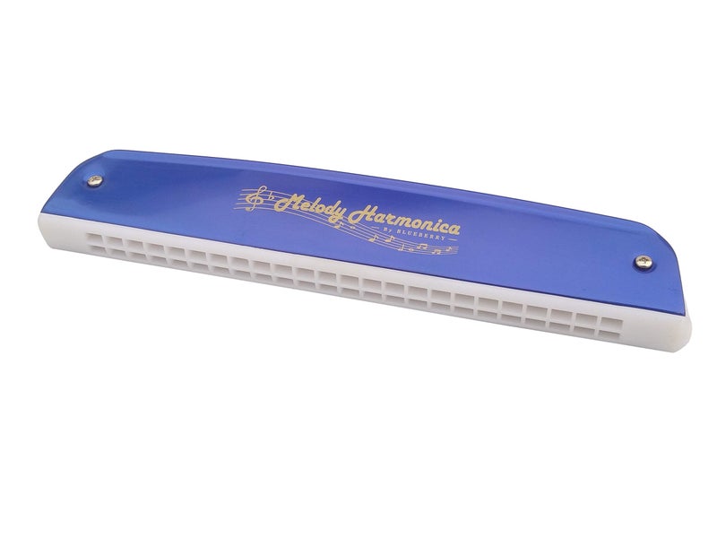 Blueberry H-2402 24 Holes 48 Tones Key C Mouth Organ With Case Blue) - Image 4