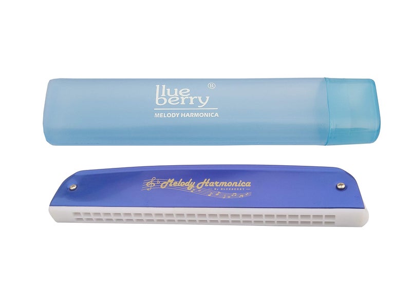 Blueberry H-2402 24 Holes 48 Tones Key C Mouth Organ With Case Blue) - Image 5