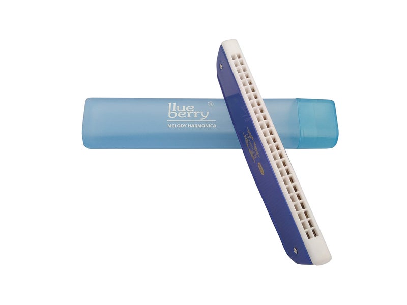 Blueberry H-2402 24 Holes 48 Tones Key C Mouth Organ With Case Blue) - Image 3