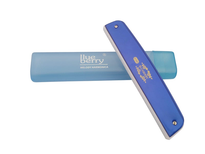 Blueberry H-2402 24 Holes 48 Tones Key C Mouth Organ With Case Blue) - Image 1